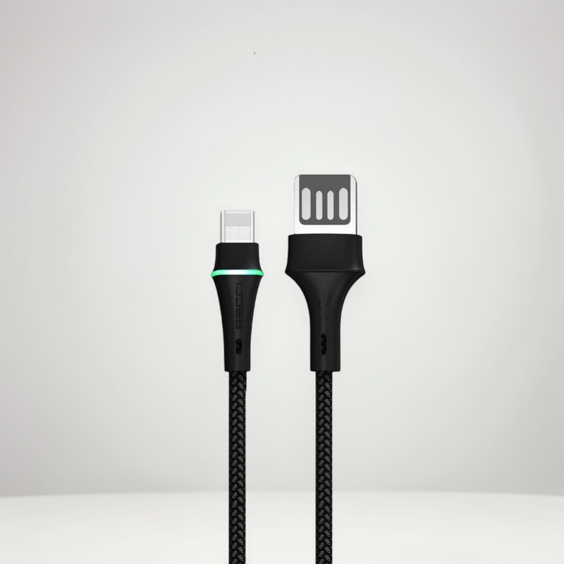 کابل تبدیل USB به لایتنینگ رسی مدل RTC-N19L طول 1 متر