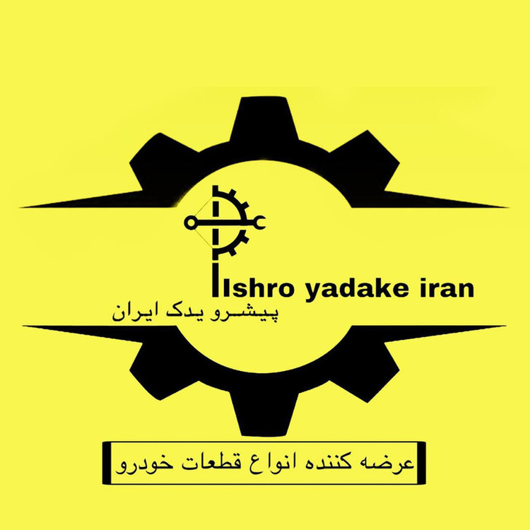 چراغ نقشه خوان خودرو پیشرو یدک ایران کد 69 مناسب برای پژو پارس